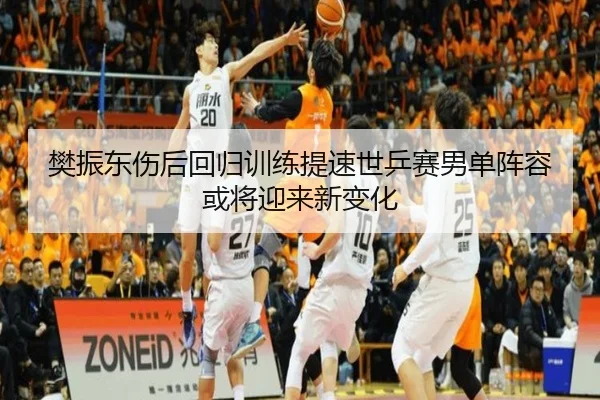 樊振东伤后回归训练提速世乒赛男单阵容或将迎来新变化